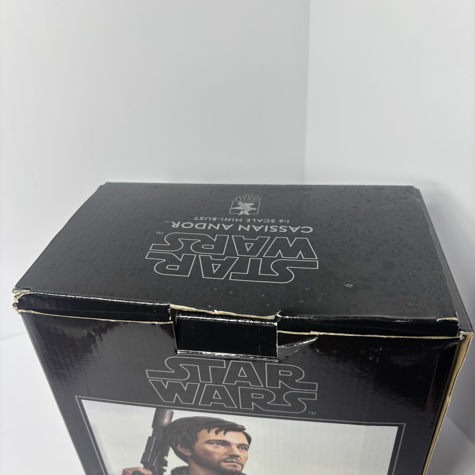 Star Wars Rogue One CASSIAN ANDOR Figure Bust Statue Gentle Giant Limited /2000