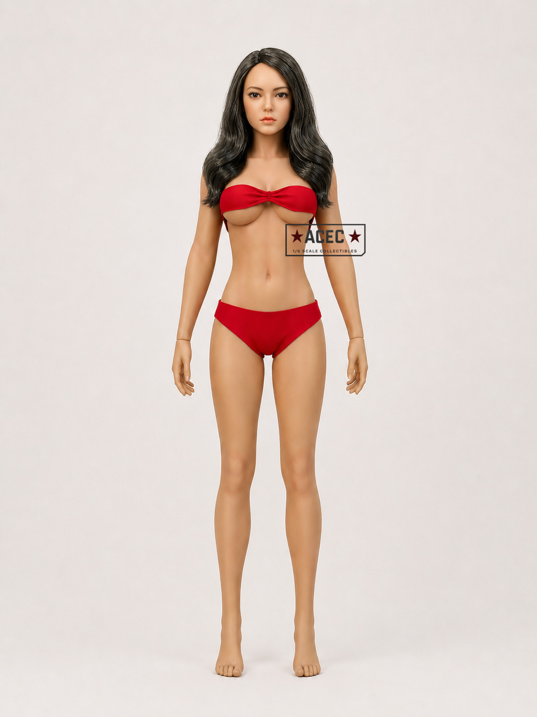 Custom PHICEN 1/6 Dark Ash Brown Hair Female L Bust Seamless Suntan Figure Set