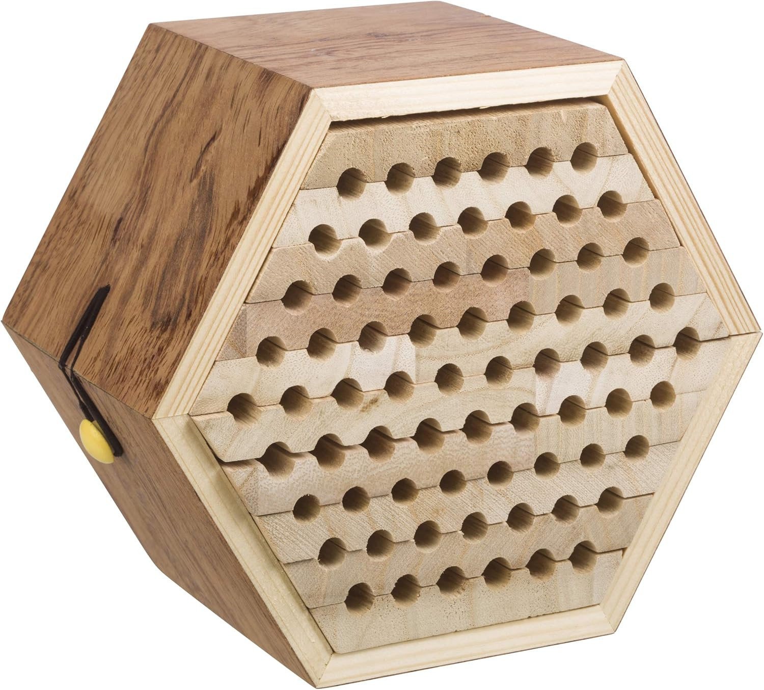 Beetle & Bee Solitary Bee Habitat – DIY Kids Art Craft Outdoor Bee Kit, Educatio