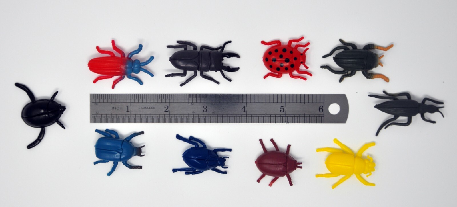 10-pc toy insects: beetles, ladybug, Cockroaches, insects identification toy