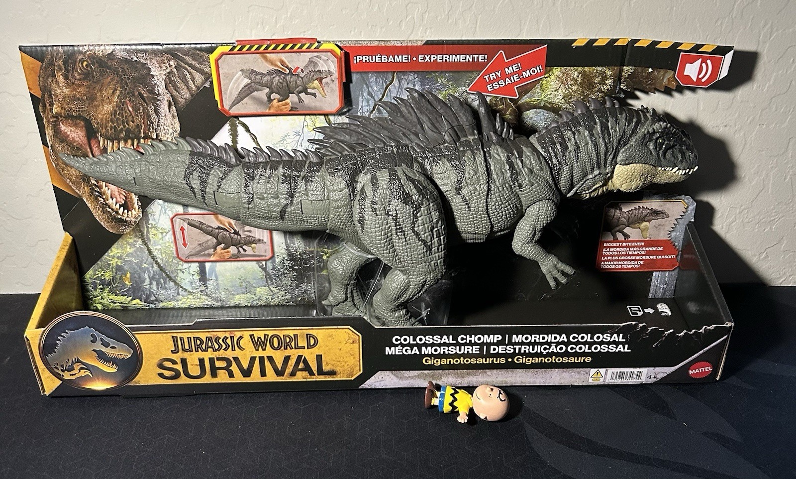 Jurassic World Survival Colossal Chomp Giganotosaurus Figure 2026 New! Dinosaur!