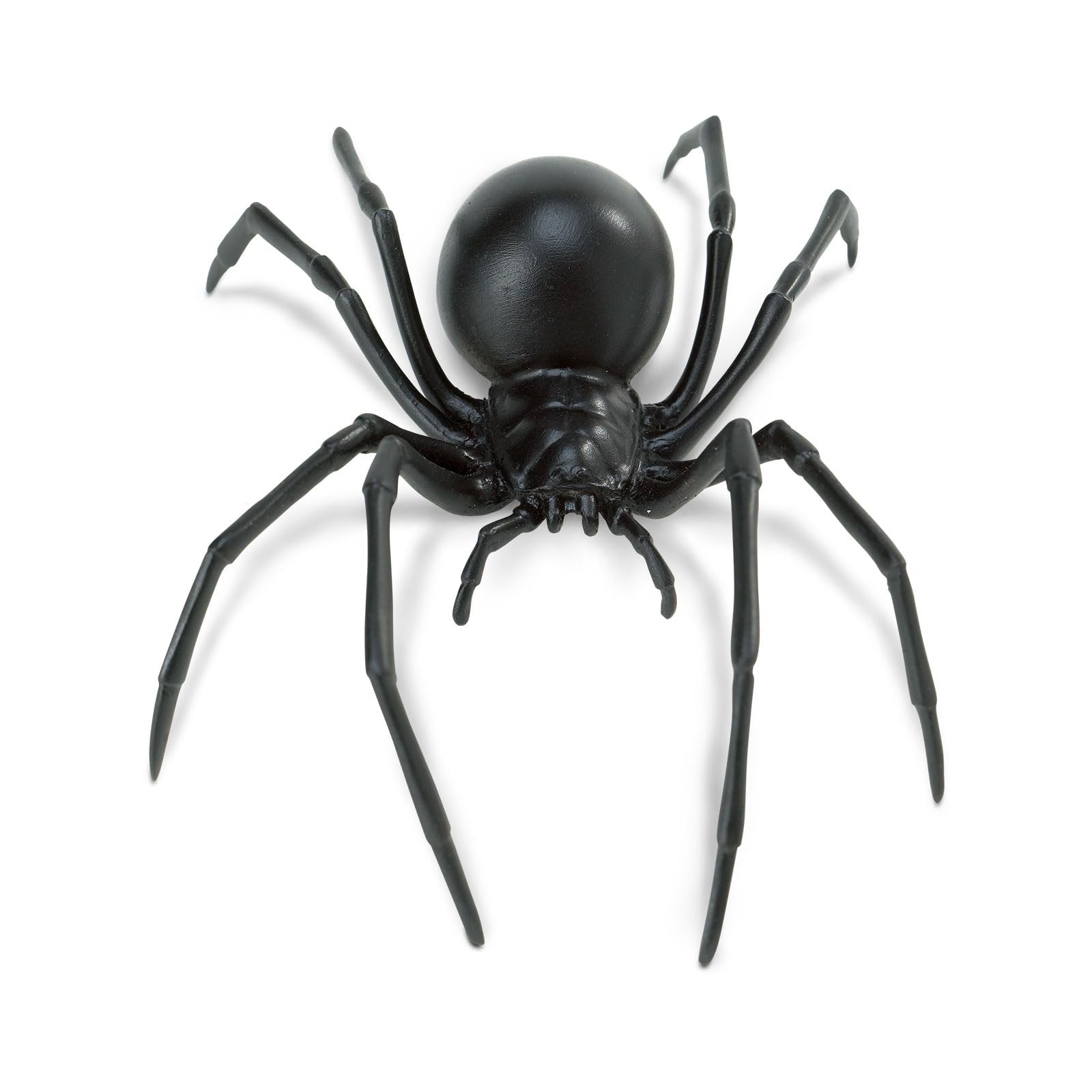 Safari Ltd. Black Widow Spider Figurine – Realistic 6.5″ Arachnid Figure – Ed…