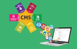 itech-cms courses for graduates & engineers